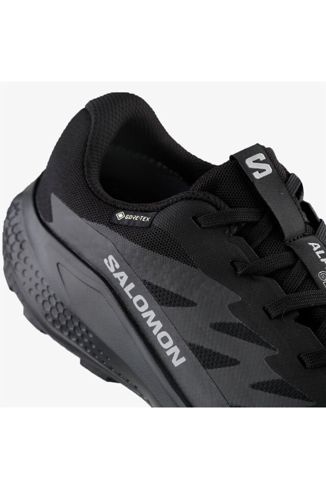 SALOMON ERKEK KOŞU/FITNESS AYAKKABI ALPHAGLIDE GORE-TEX L47802100