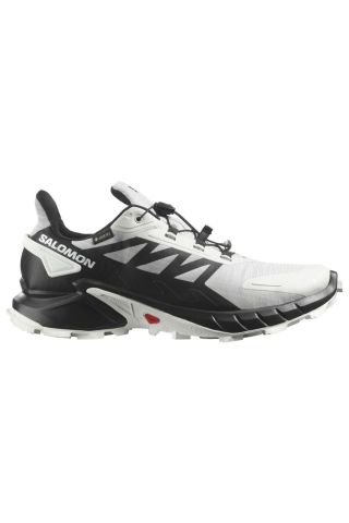 SALOMON ERKEK KOŞU/FITNESS AYAKKABI SUPERCROSS 4 GTX L41731900