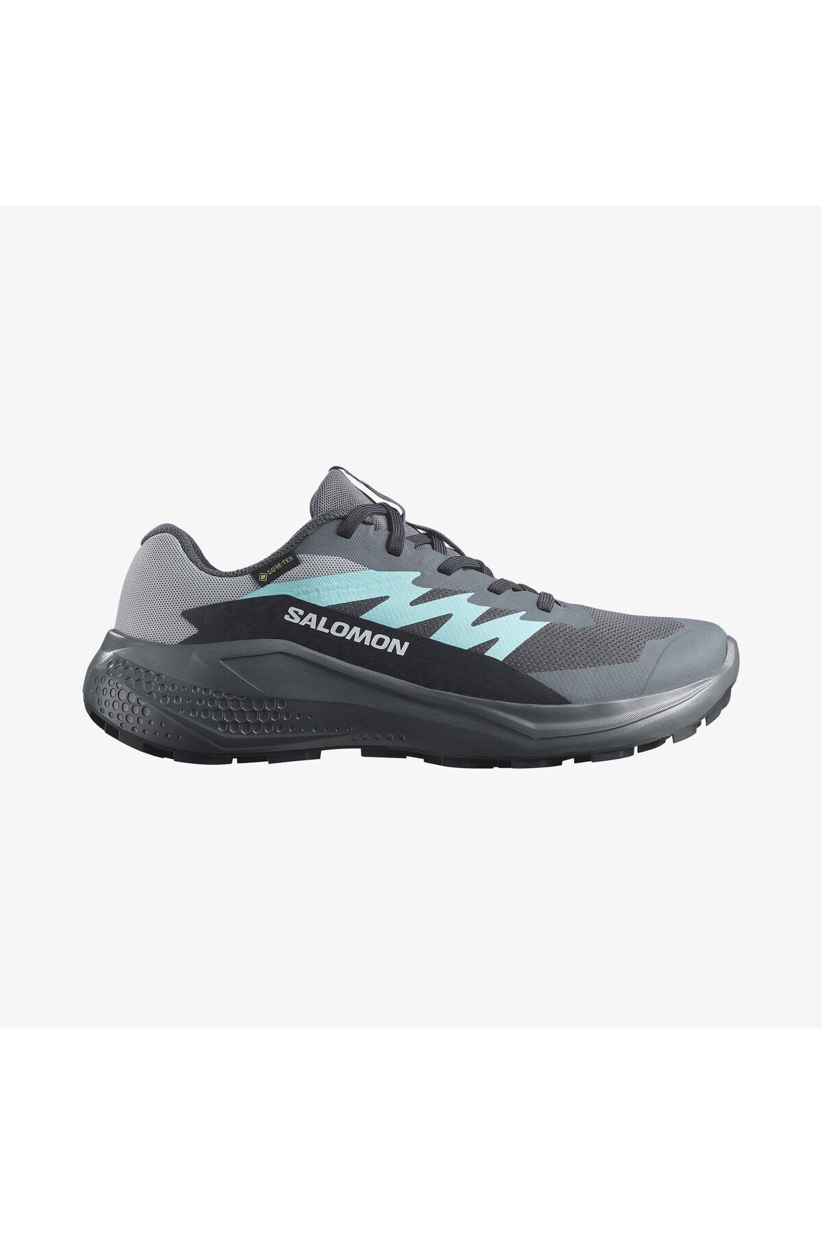 SALOMON KADIN KOŞU/FITNESS AYAKKABI ALPHAGLIDE GORE-TEX L47802500