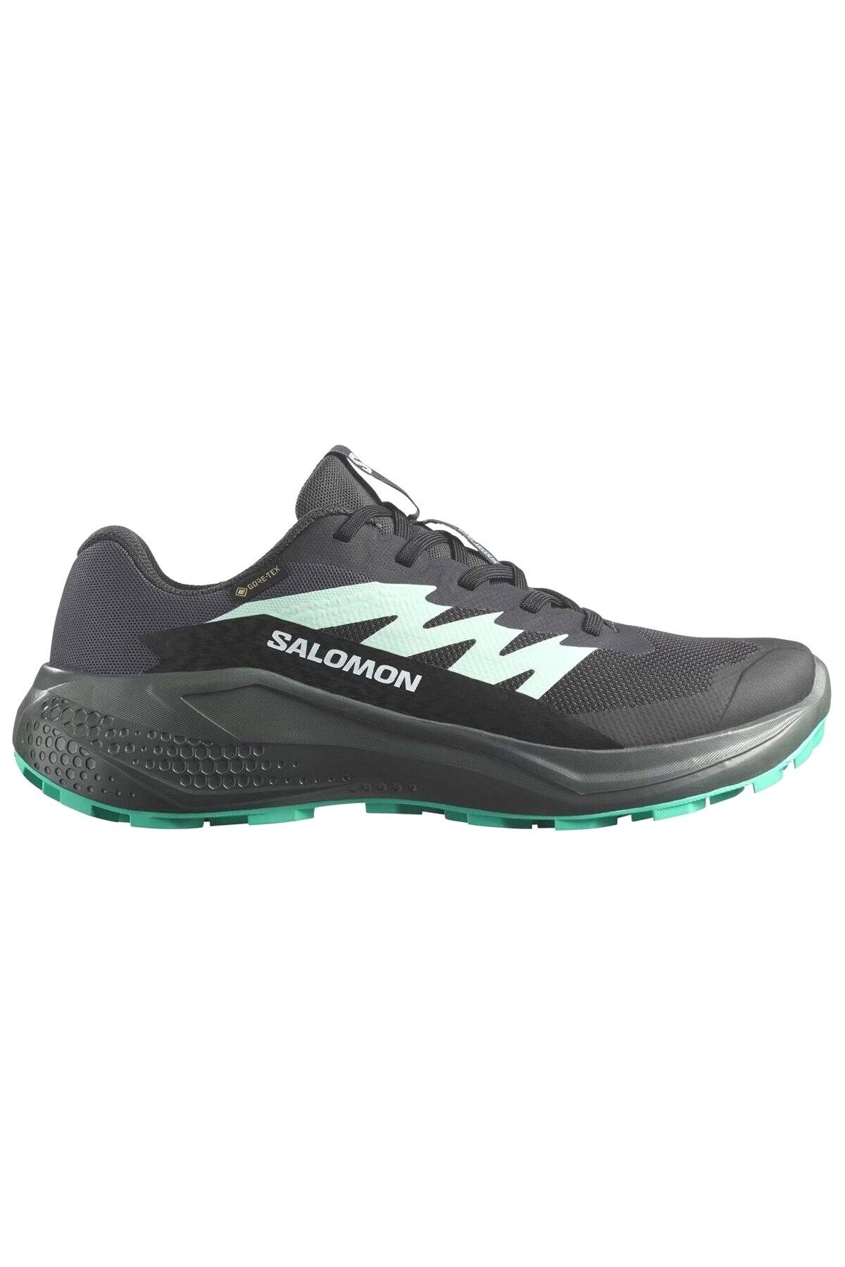 SALOMON KADIN KOŞU/FITNESS AYAKKABI ALPHAGLIDE GORE-TEX L47802400