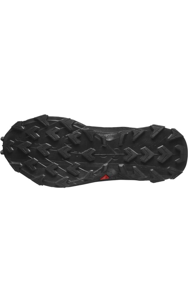 SALOMON KADIN PATİKA KOŞUSU AYAKKABISI ALPHACROSS 5 GTX W L47310900