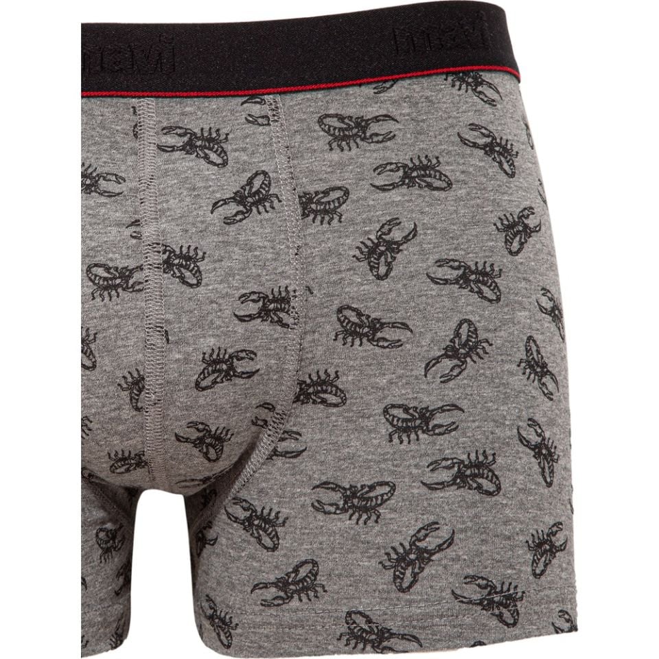 MAVİ ERKEK Desenli Boxer Gri Melanj 0910046-30774