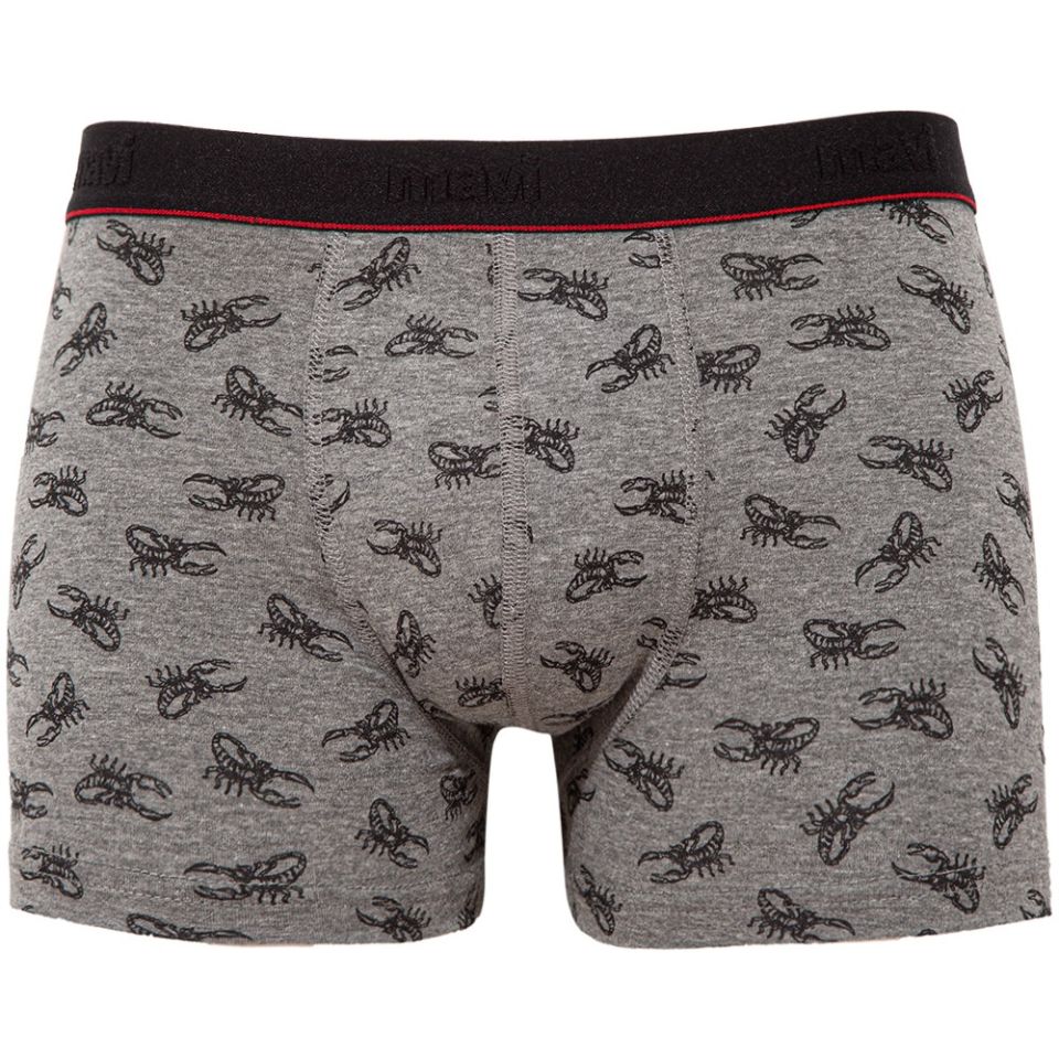 MAVİ ERKEK Desenli Boxer Gri Melanj 0910046-30774