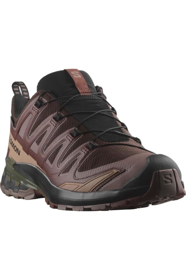 SALOMON ERKEK OUTDOOR AYAKKABI XA PRO 3D V9 GTX L47583500