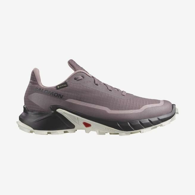 SALOMON KADIN ALPHACROSS 5 GTX W PATİKA KOŞUSU AYAKKABISI L47311000