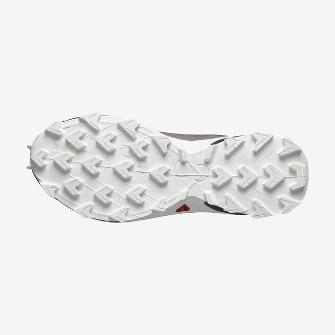 SALOMON KADIN ALPHACROSS 5 GTX W PATİKA KOŞUSU AYAKKABISI L47311000