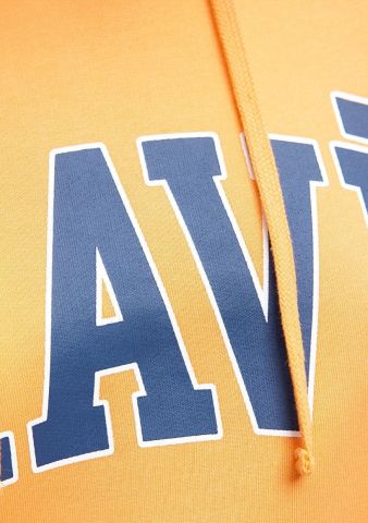 MAVİ KADIN MAVİ LOGO KAPÜŞONLU SWEATSHIRT Mock Oran 1600361-71407