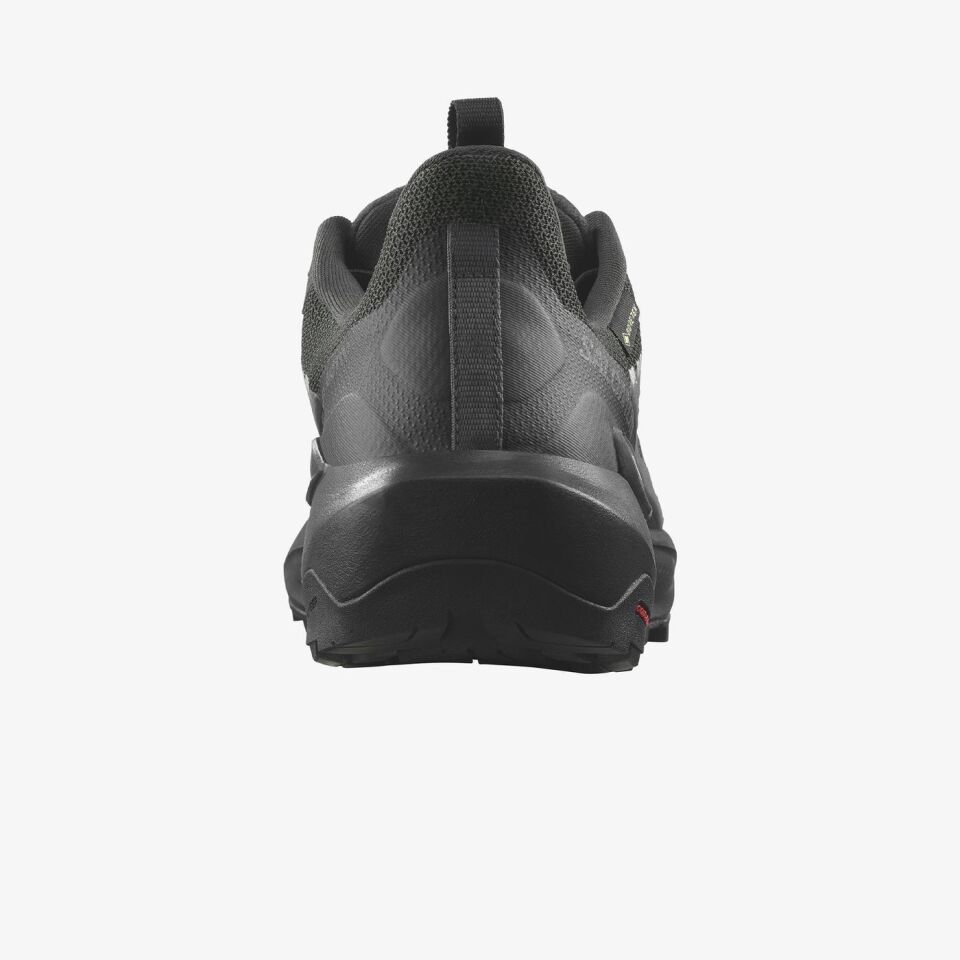 SALOMON ERKEK OUTDOOR AYAKKABI ELIXIR ACTIV GORE-TEX L47456100