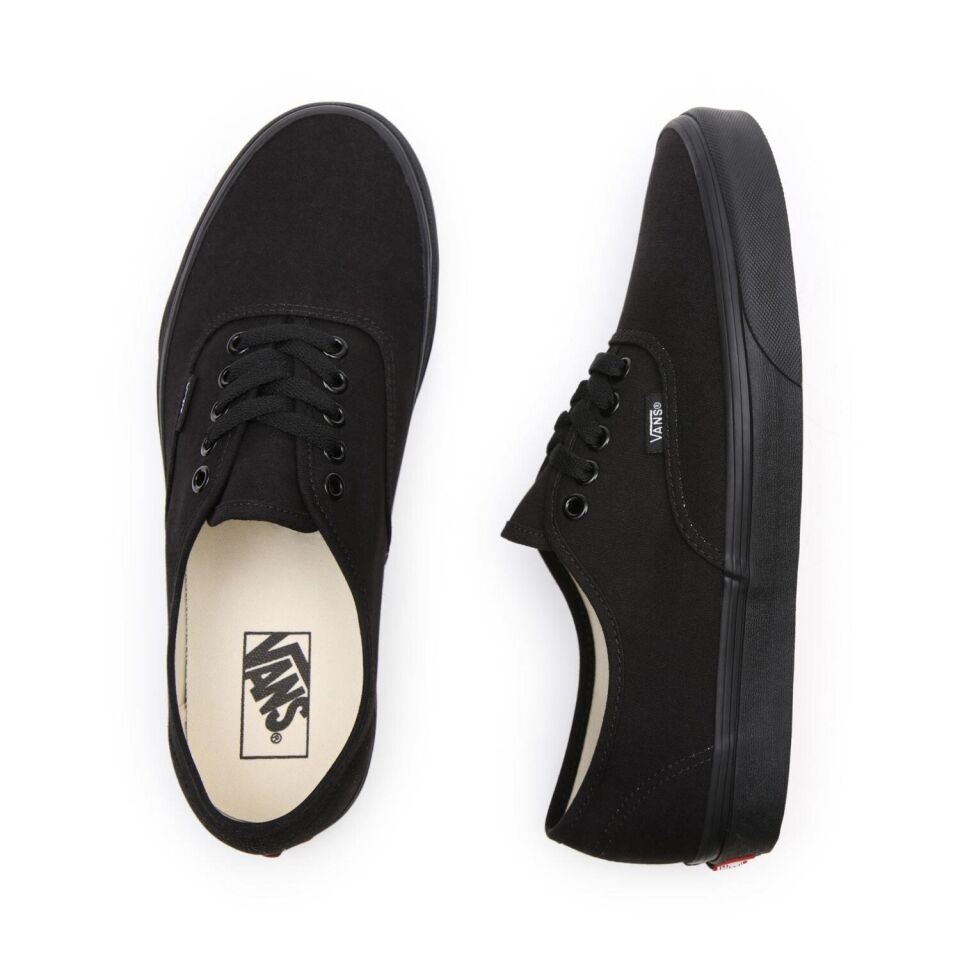 Vans Ayakkabı Authentic VN000EE3BKA1