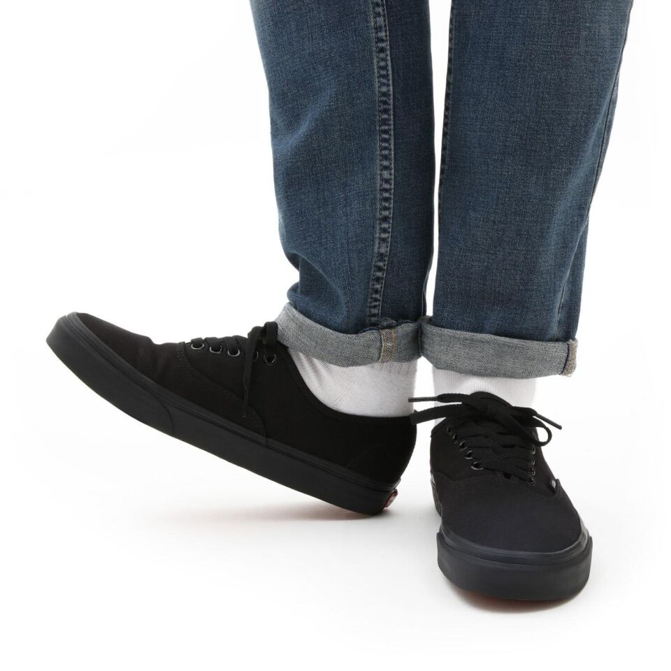 Vans Ayakkabı Authentic VN000EE3BKA1