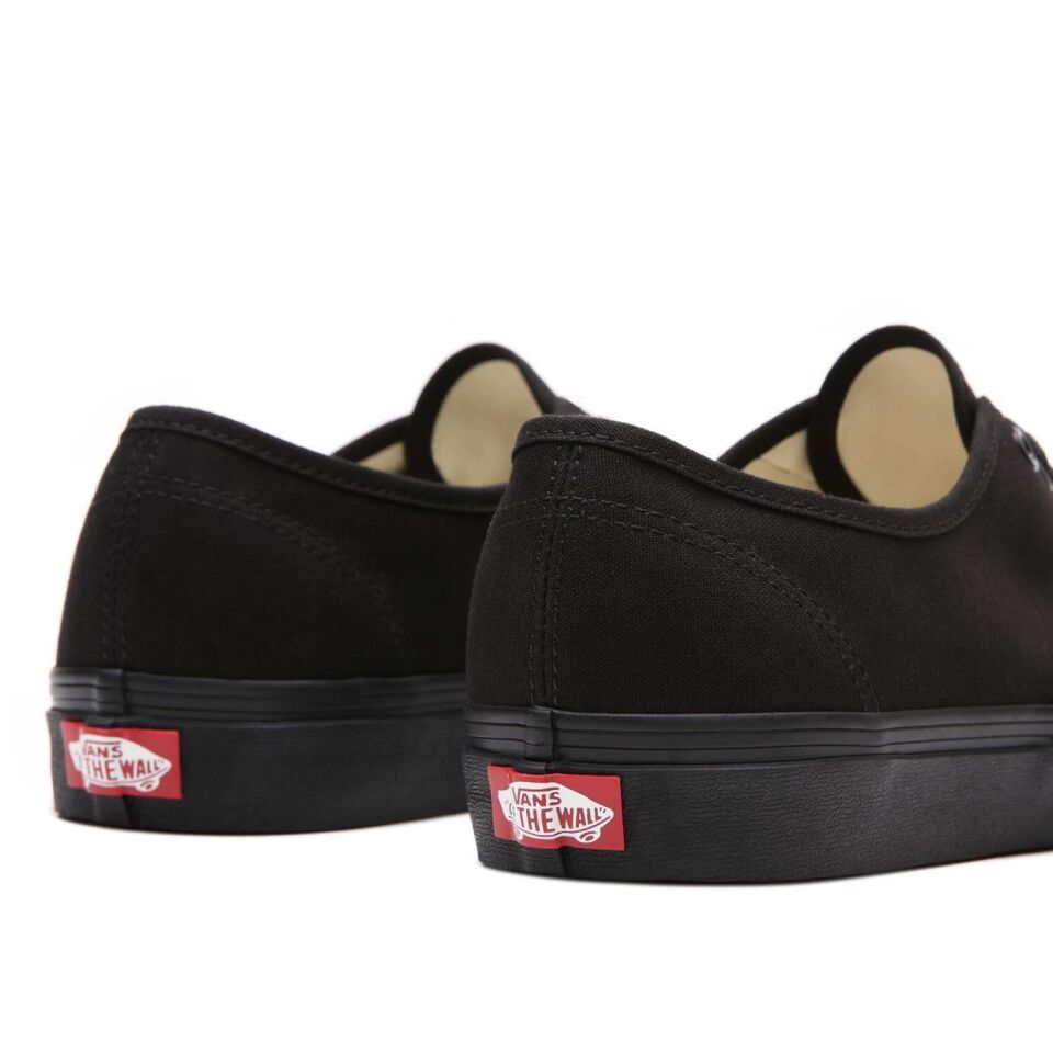 Vans Ayakkabı Authentic VN000EE3BKA1