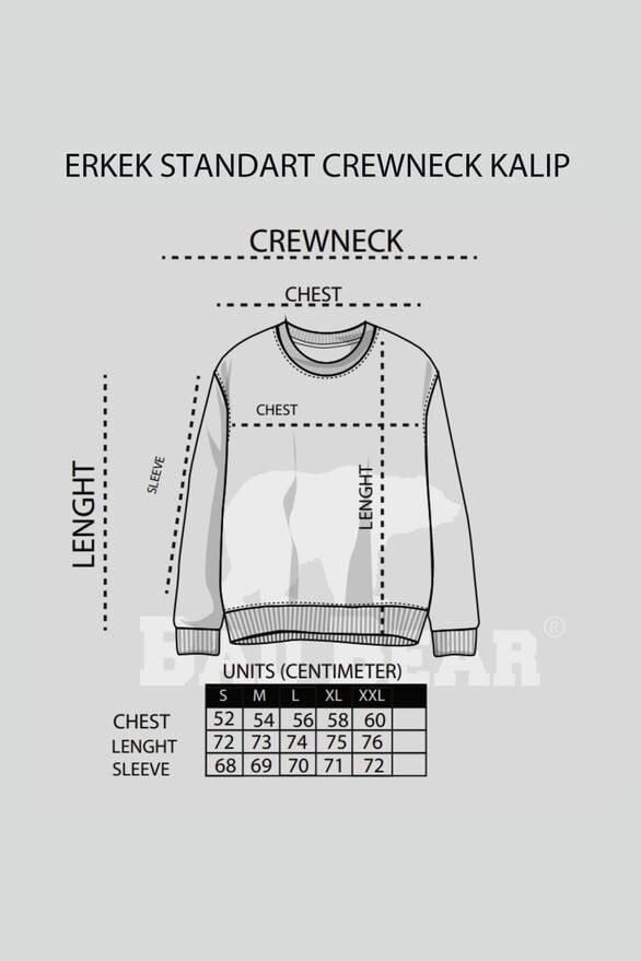 BAD BEAR ERKEK FELT CREWNECK 23.02.12.013