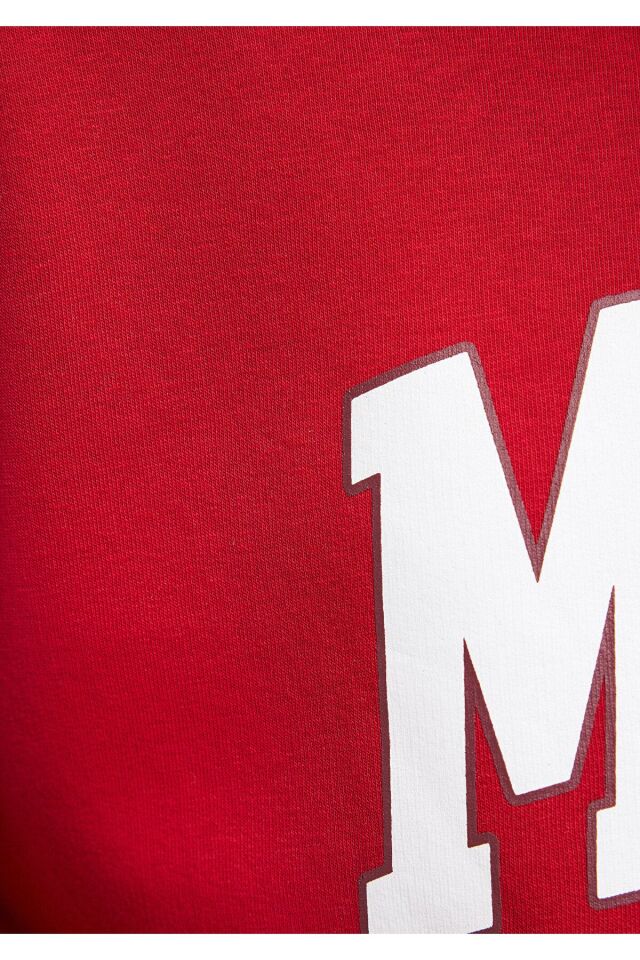 MAVİ ERKEK MAVİ BASKILI SWEATSHIRT Kırmızı 067149-86417