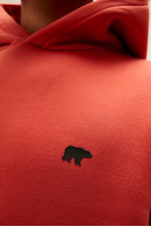 BAD BEAR ERKEK CORDLESS HOODIE 22.02.12.036
