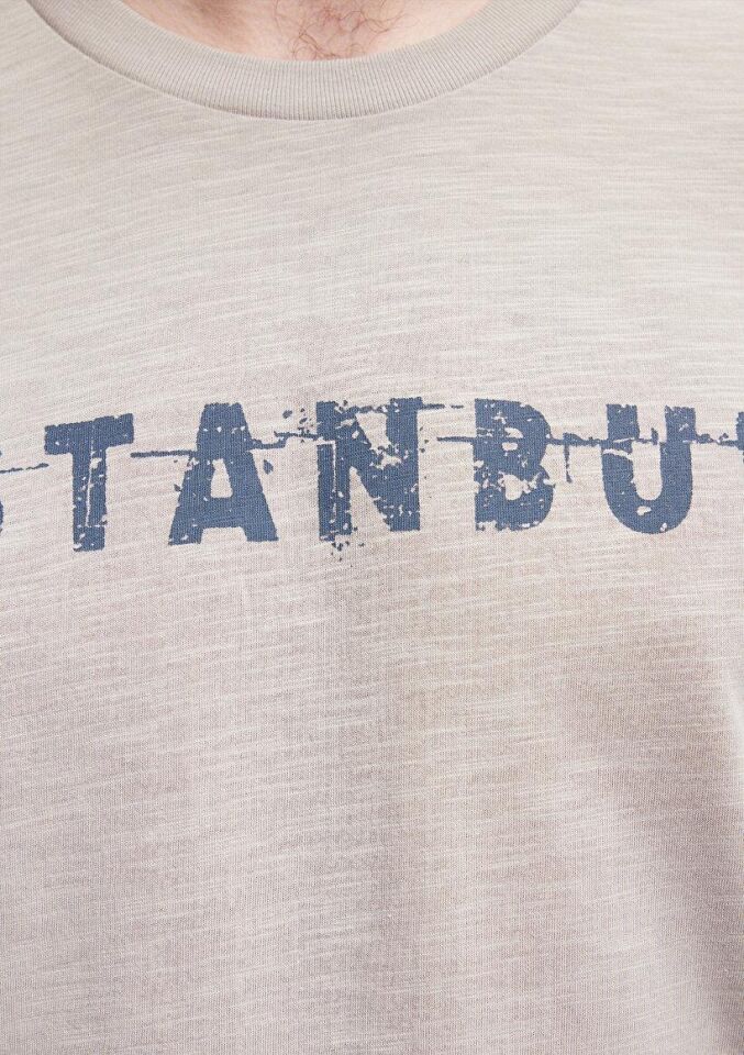MAVİ ERKEK İSTANBUL TİŞÖRT Açık Gri 066282-31935