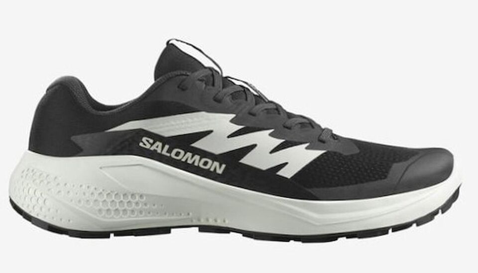 SALOMON ERKEK KOŞU/FITNESS AYAKKABI ALPHAGLIDE L47801000