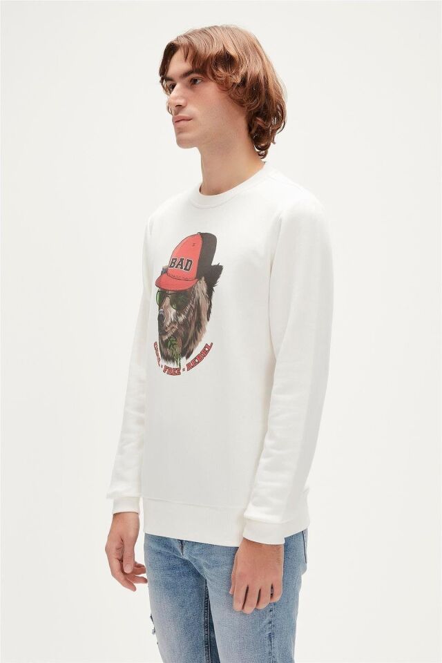 BAD BEAR ERKEK REBEL CREWNECK 23.02.12.019