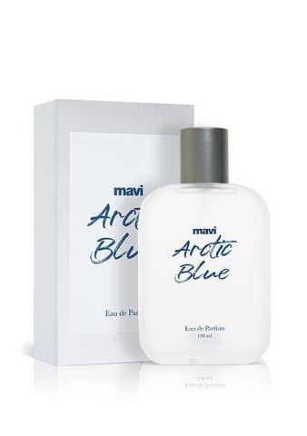 MAVİ ERKEK PARFÜM Gümüş 091329-24651