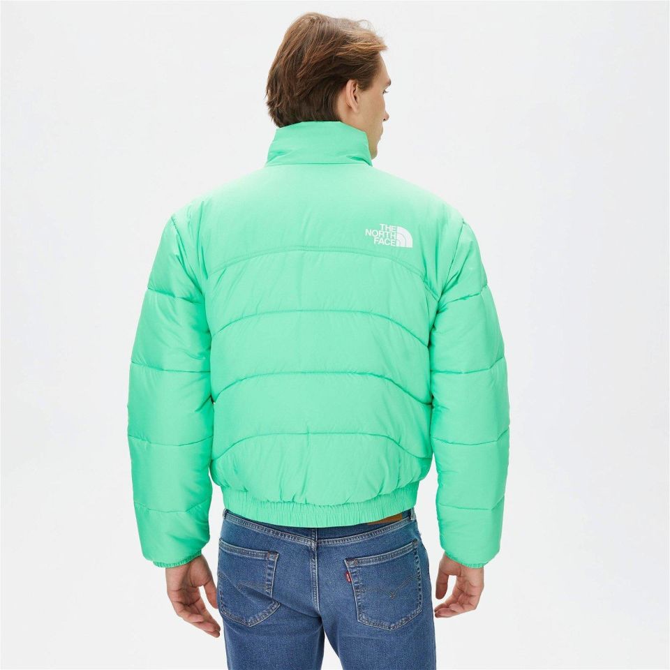 THE NORTH FACE ERKEK CEKET M TNF JACKET 2000 NF0A7URE8YK1