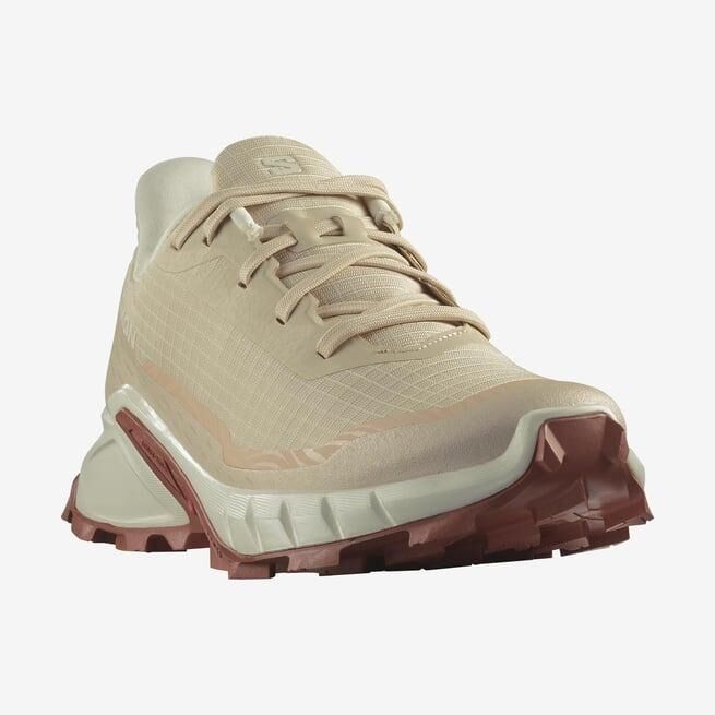 SALOMON KADIN ALPHACROSS 5 W KOŞU/FITNESS AYAKKABI L47460200