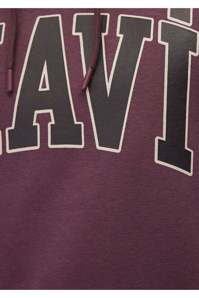 MAVİ ERKEK MAVİ BASKILI SWEATSHIRT Huckleberry 067149-70260