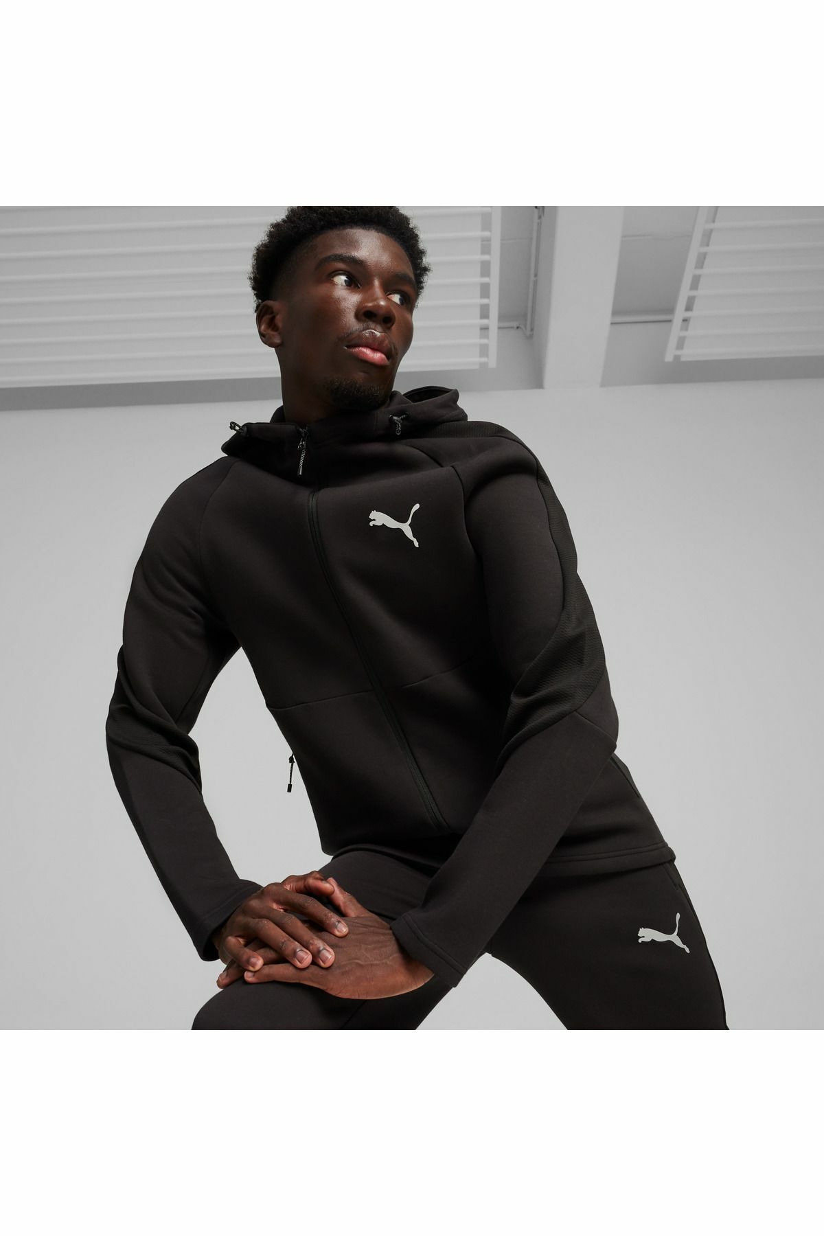 PUMA ERKEK EVOSTRIPE FULL-ZİP HOODİE 67899501