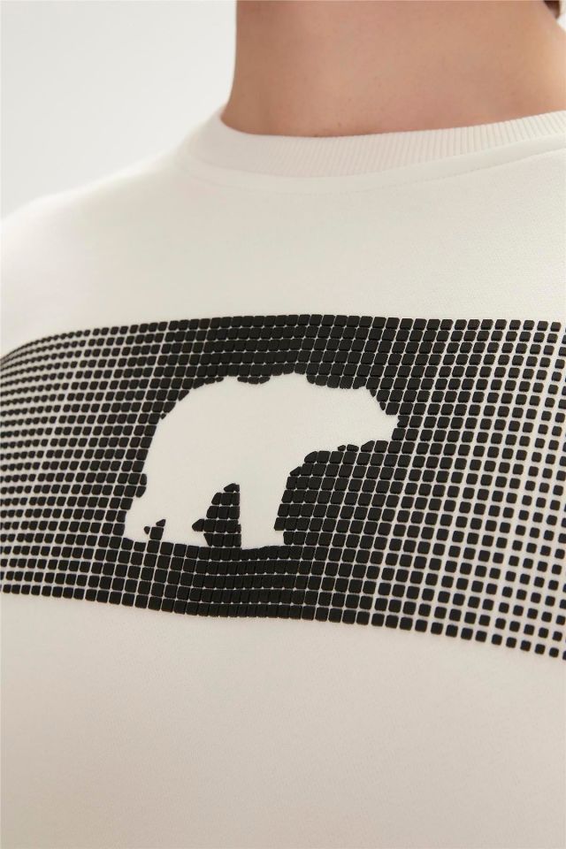 BAD BEAR ERKEK FANCY CREWNECK 19.02.12.007