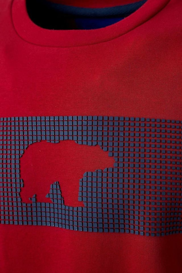 BAD BEAR ERKEK FANCY CREWNECK 19.02.12.007