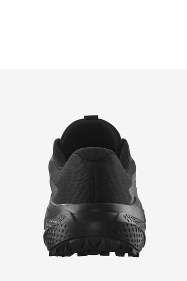 SALOMON ERKEK KOŞU/FITNESS AYAKKABI ALPHAGLIDE L47948300