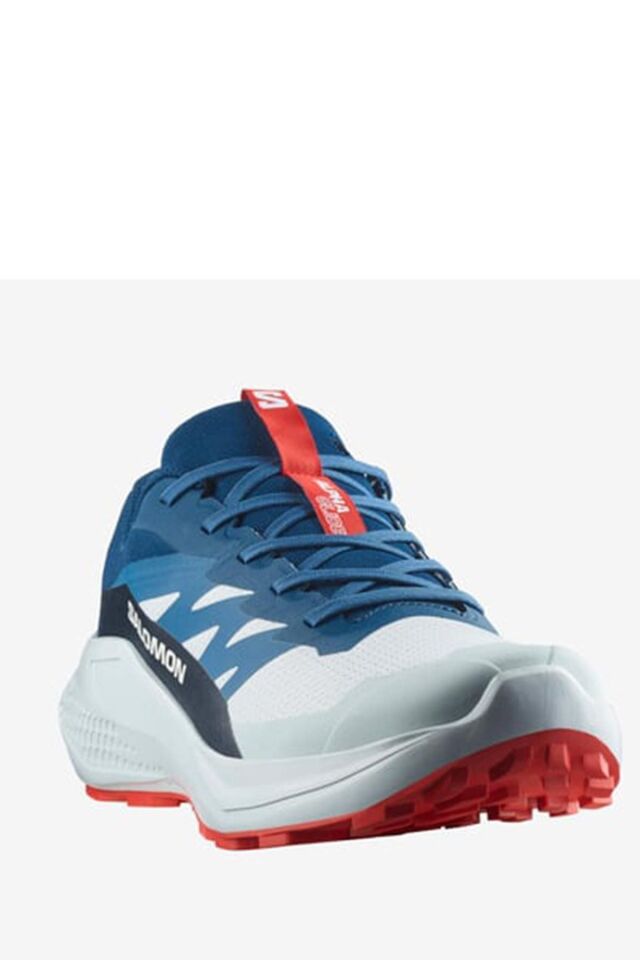 SALOMON ERKEK KOŞU/FITNESS AYAKKABI ALPHAGLIDE L47724300