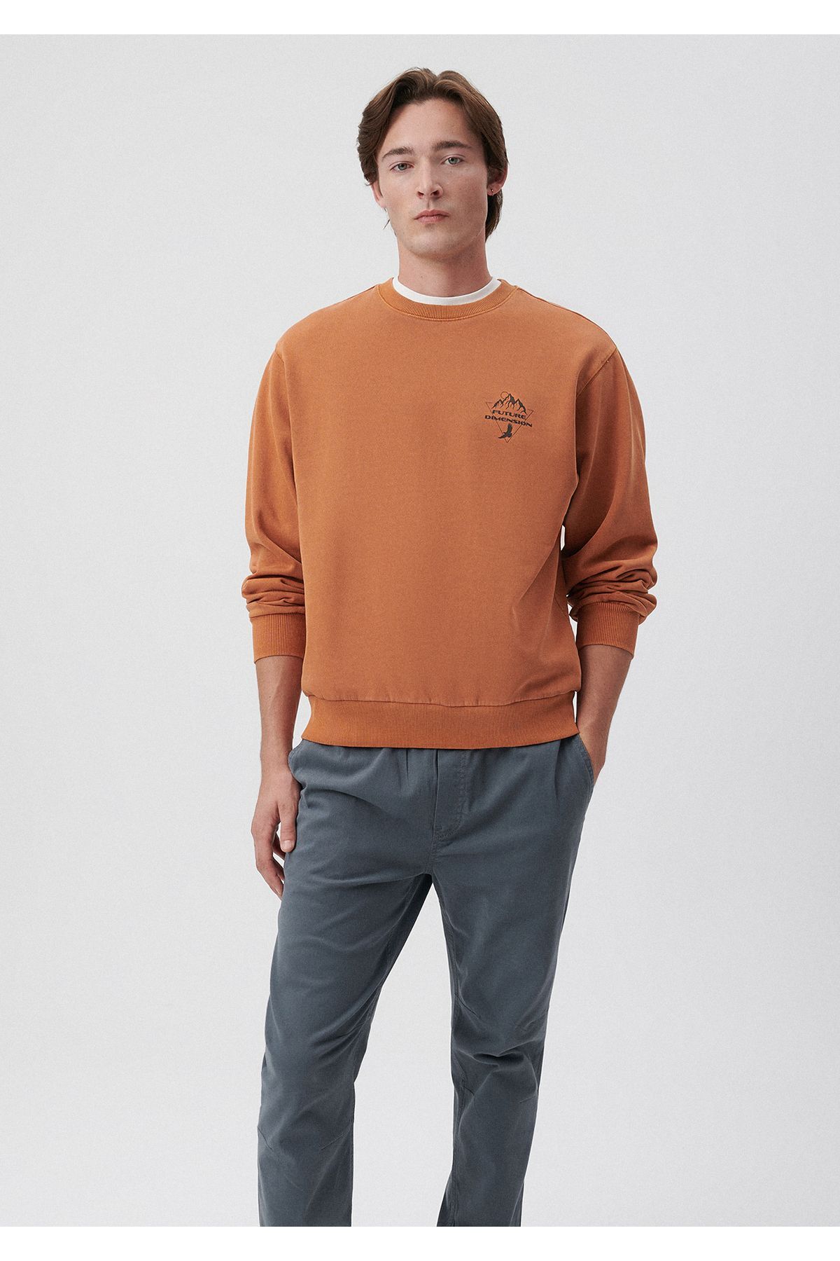 MAVİ ERKEK BASKILI SWEATSHIRT Koyu Ceviz 0S10009-81216