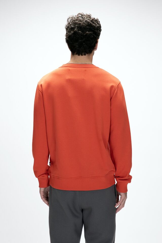 BAD BEAR ERKEK SWEATSHIRT MOUNTAIN CREWNECK 25.02.12.027