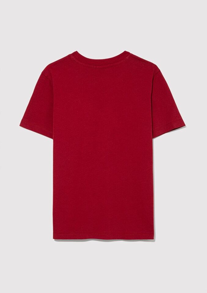 MAVİ ÇOCUK MAVİ LOGO BASKILI TİŞÖRT Koyu Kırmızı 6610030-70392