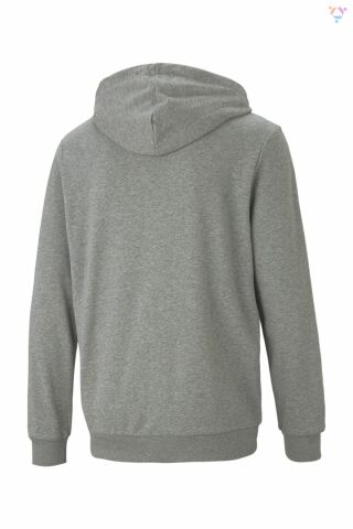 PUMA ERKEK ESS SMALL LOGO FZ HOODİE 58670453