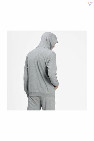 PUMA ERKEK ESS SMALL LOGO FZ HOODİE 58670453