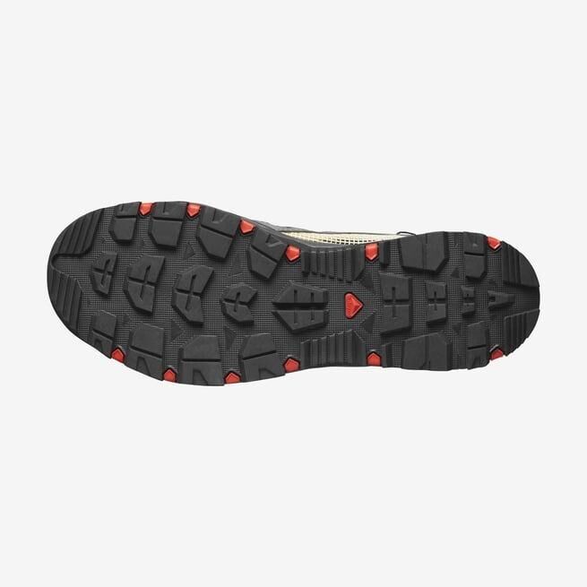 SALOMON ERKEK TECHAMPHIBIAN 5 OUTDOOR AYAKKABI L47114900