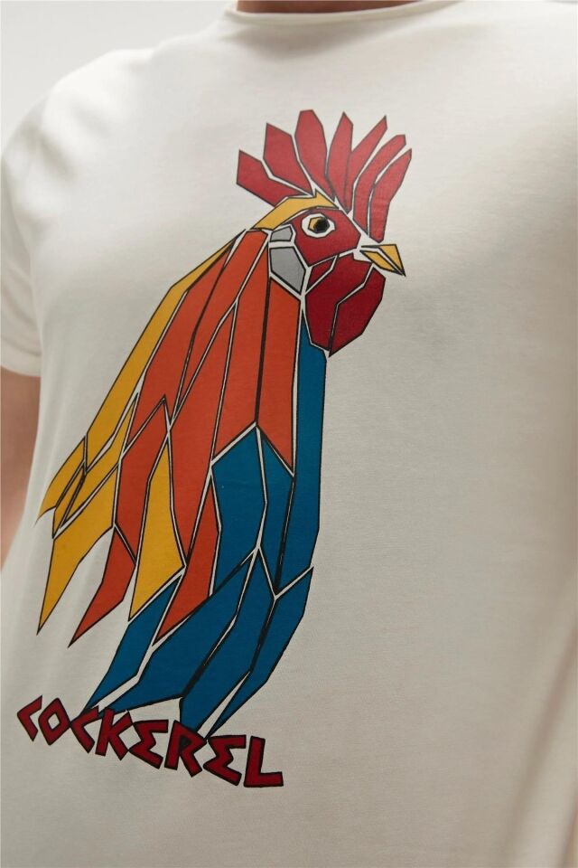 BAD BEAR ERKEK T-SHIRT COCKEREL  T-SHIRT 23.01.07.012