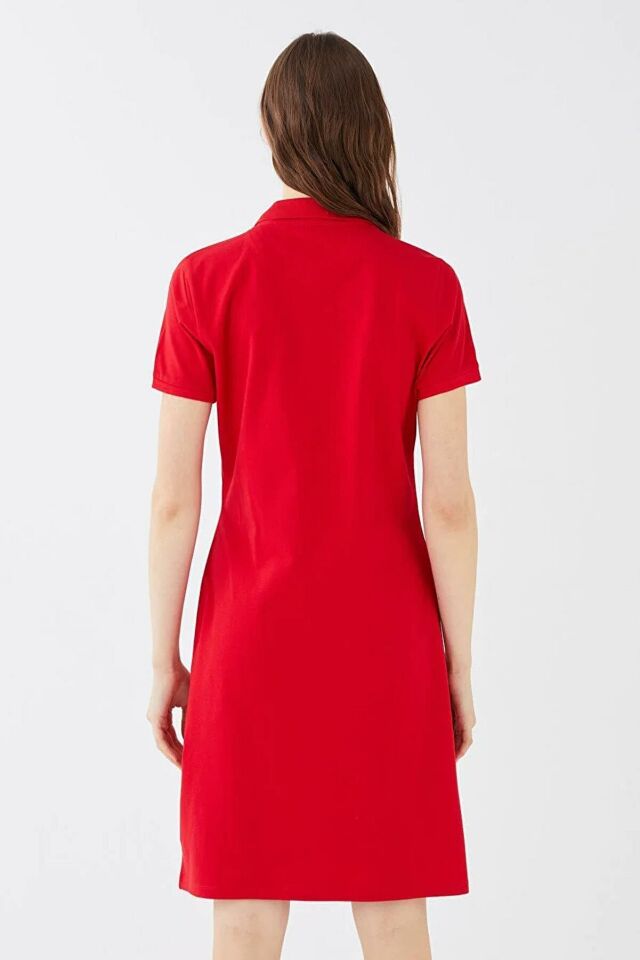 FASHION FRIENDS KADIN POLO YAKA ELBİSE 24Y0499K1