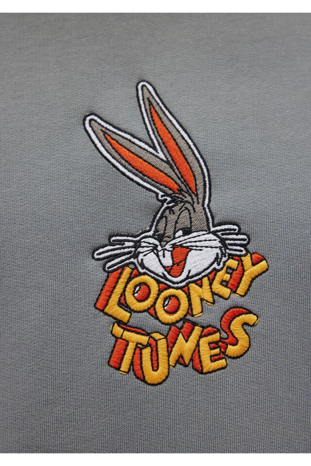 MAVİ ERKEK BUGS BUNNY KAPÜŞONLU SWEATSHIRT Çelik Gr 0S10102-70098