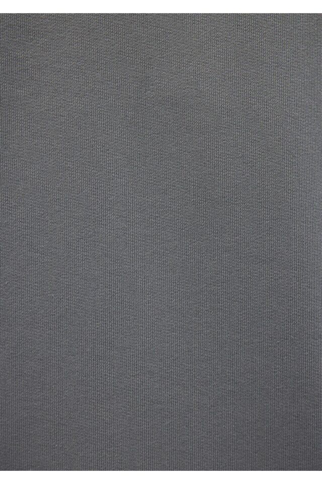 MAVİ ERKEK BUGS BUNNY KAPÜŞONLU SWEATSHIRT Çelik Gr 0S10102-70098