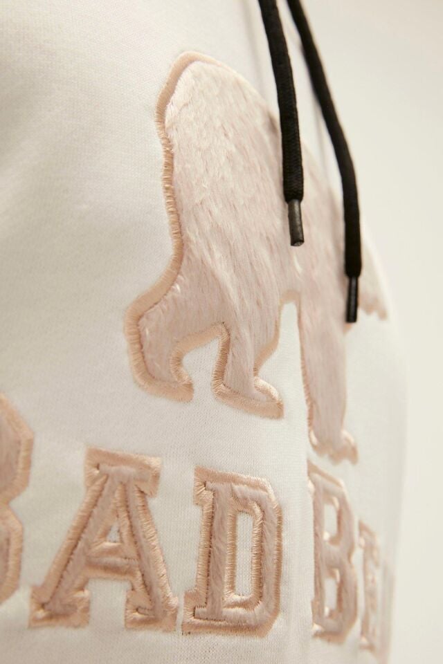 BAD BEAR ERKEK BRAND HOODIE 22.02.12.001