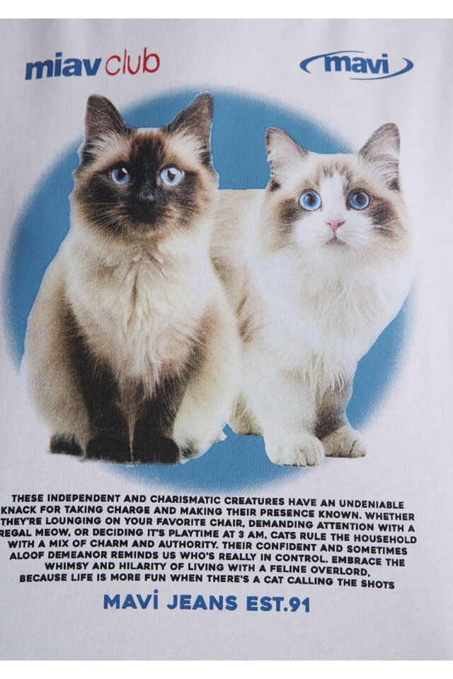 MAVİ KADIN KEDİ BASKILI MODELLİ TIŞÖRT Beyaz 1613098-620